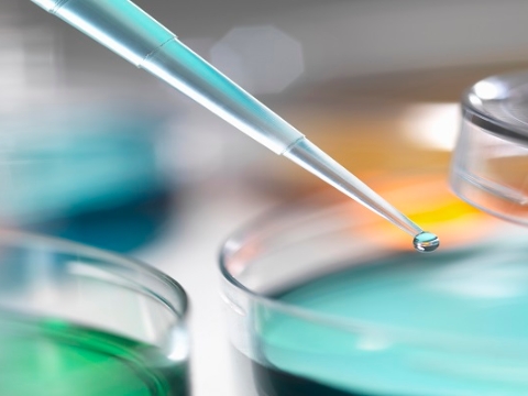 Basic Oleochemicals