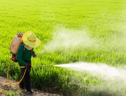 Agrochemicals